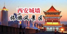 嫩操B中国陕西-西安城墙旅游风景区